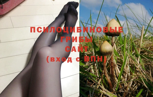 прущая мука Волгодонск