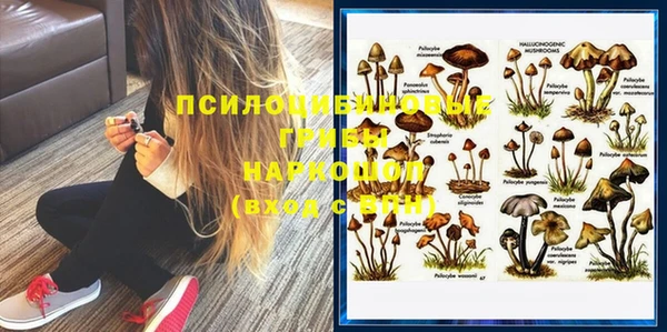 бошки Киров