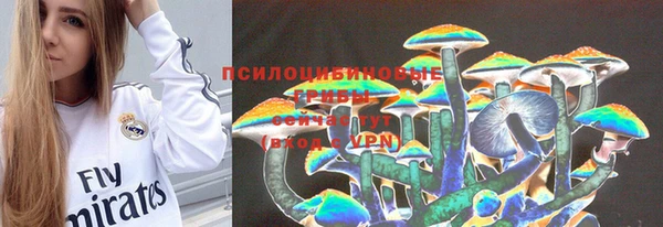 дживик Ладушкин
