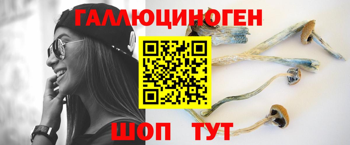 Тула  Псилоцибиновые грибы Psilocybe  Вход с VPN 