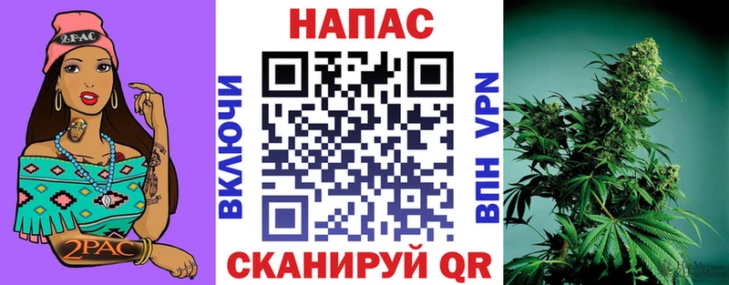 Конопля семена  kraken как зайти  Тула 